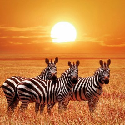 Miembros de una tribu en Kenia mostrando su cultura