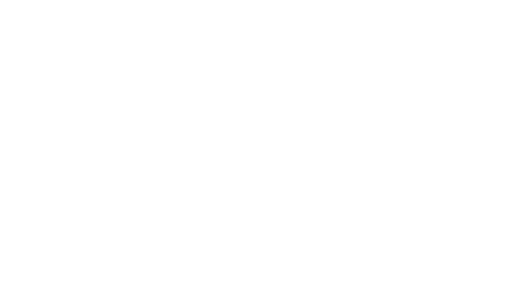 CSS Logotipo Positivo en Fondo Blanco