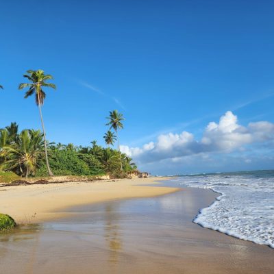 Programa Corporativo en Punta Cana Deluxe, República Dominicana